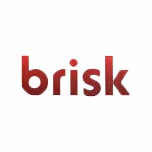 تعمیر فشارسنج بریسک Brisk